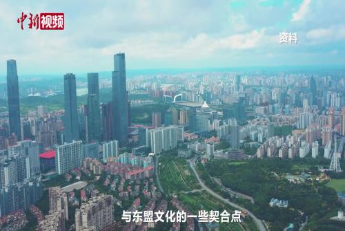 廣西作協副主席談網絡文學和短劇如何出海：需挖掘本土化特色 尋找契合點