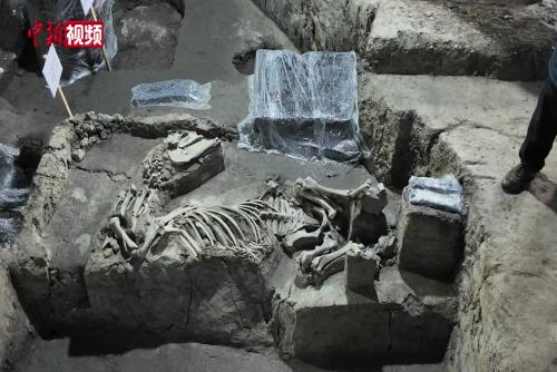 浙江紹興稽中遺址出土五百余枚簡牘