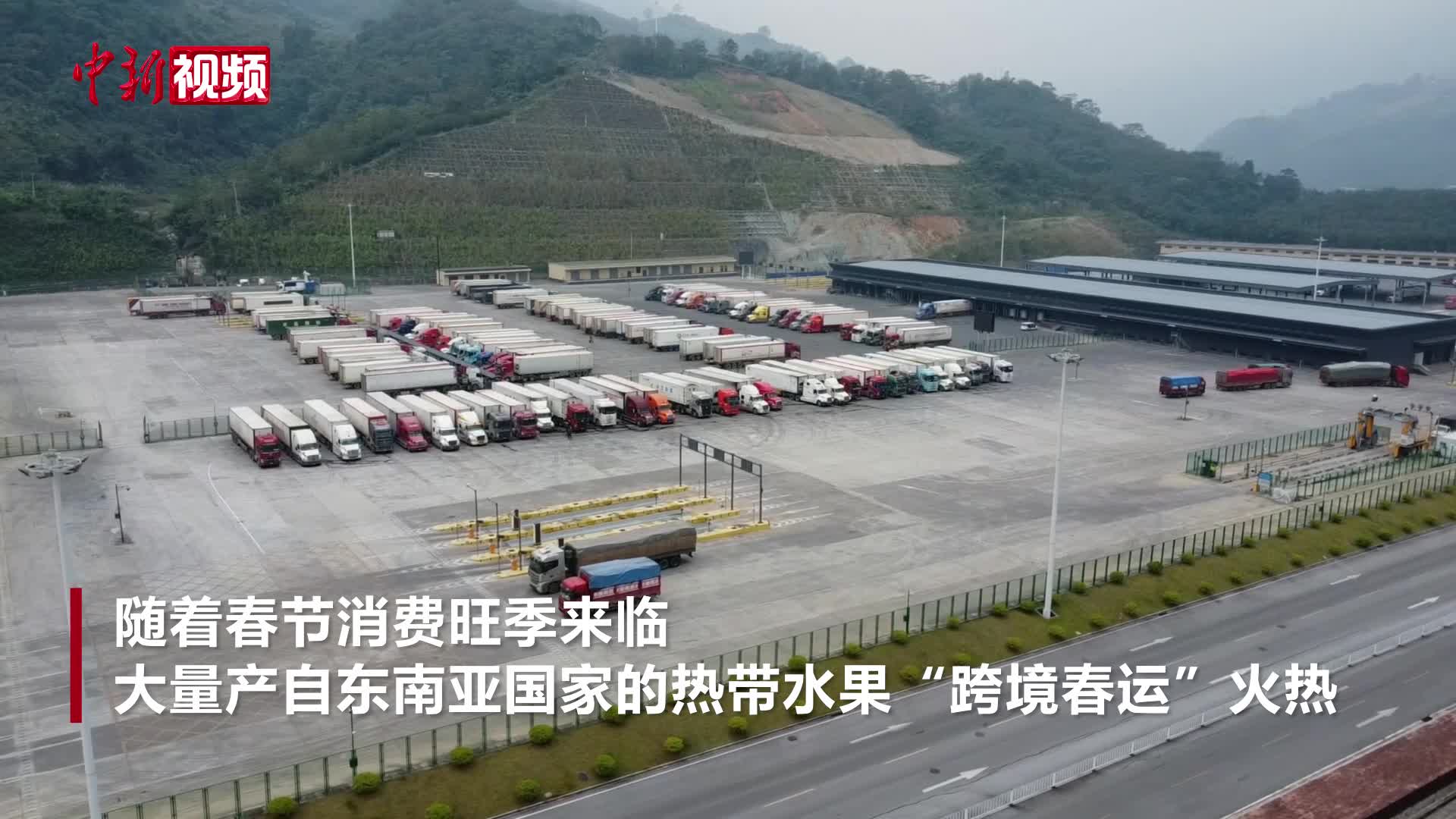 東南亞熱帶水果“跨境春運(yùn)”火熱 走俏中國(guó)年貨市場(chǎng)