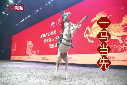 汗血寶馬 “年夜飯”都吃啥？