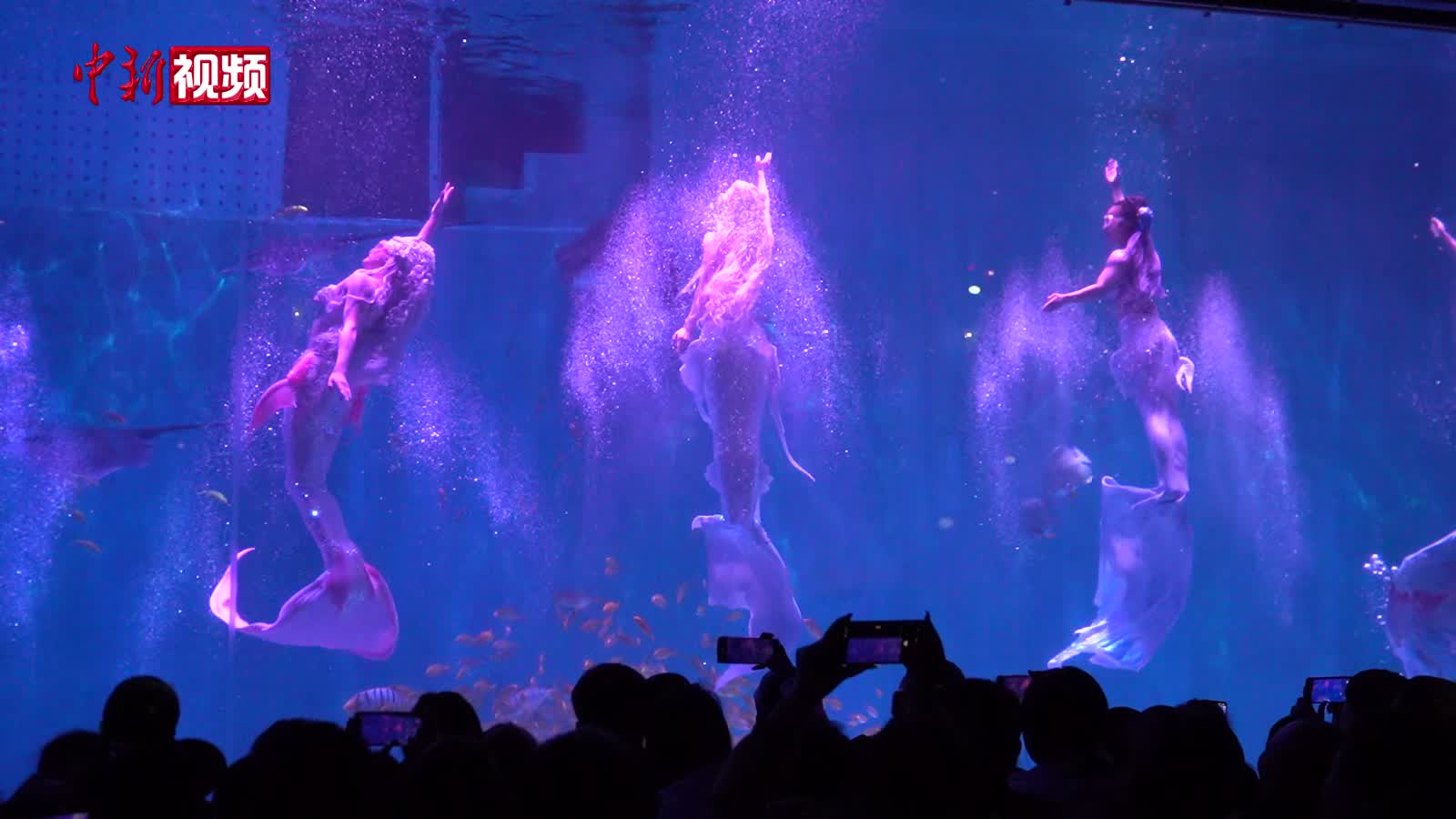 哈尔滨极地公园花式“闹”新春