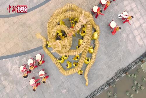 四川沐川草龙巡游贺新春 非遗接力向未来