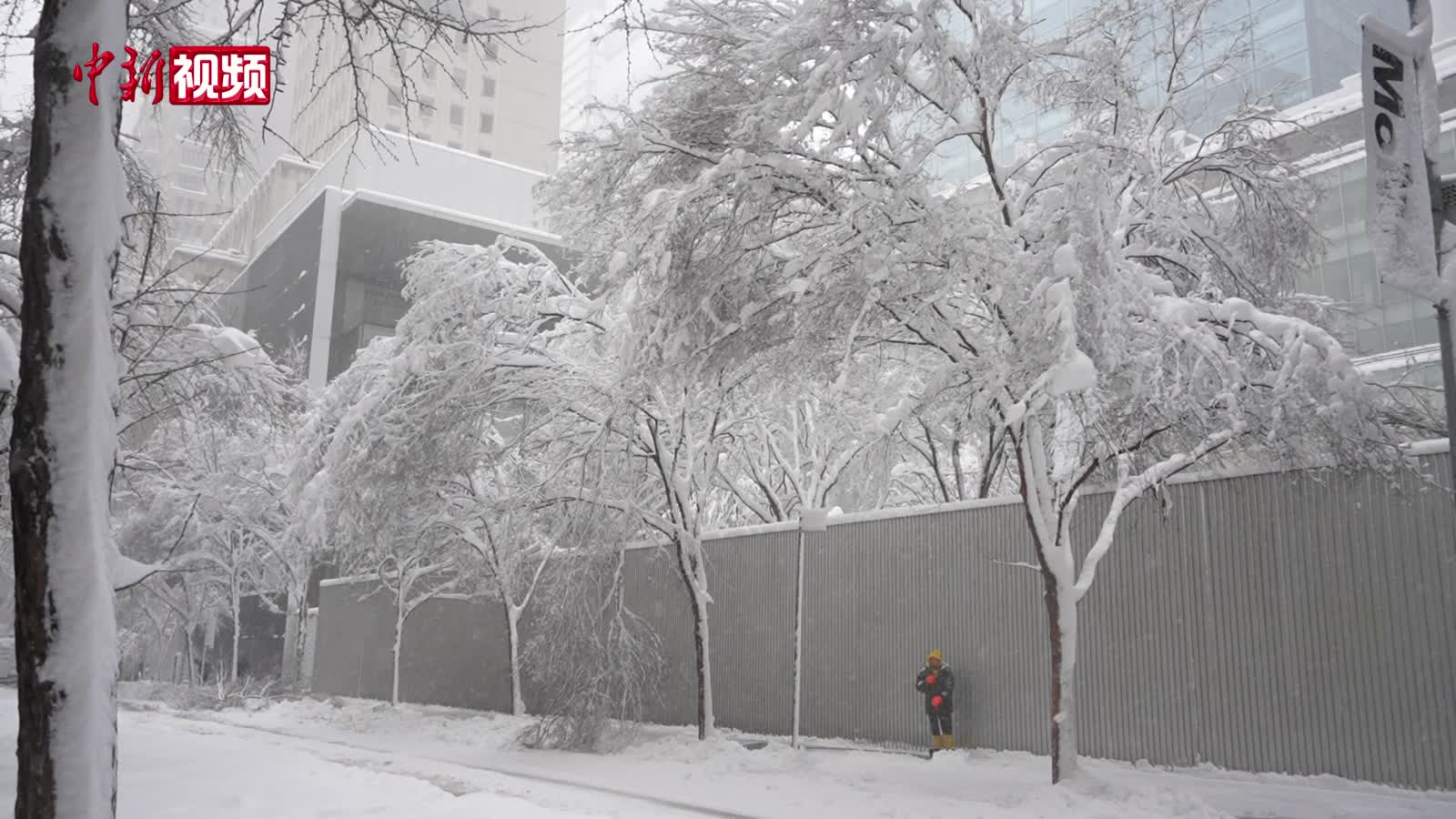 暴风雪袭击美国纽约