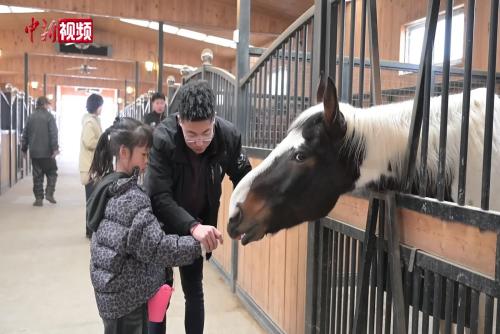 馬年“馬上見(jiàn)”：沈陽(yáng)馬術(shù)運(yùn)動(dòng)新春悄然“破圈”
