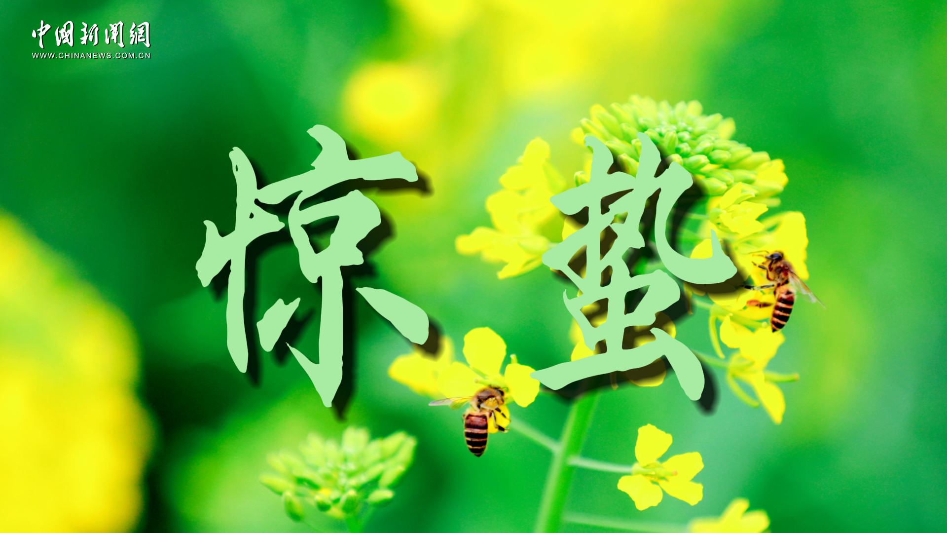 惊蛰：春雷醒万物 未来皆可期