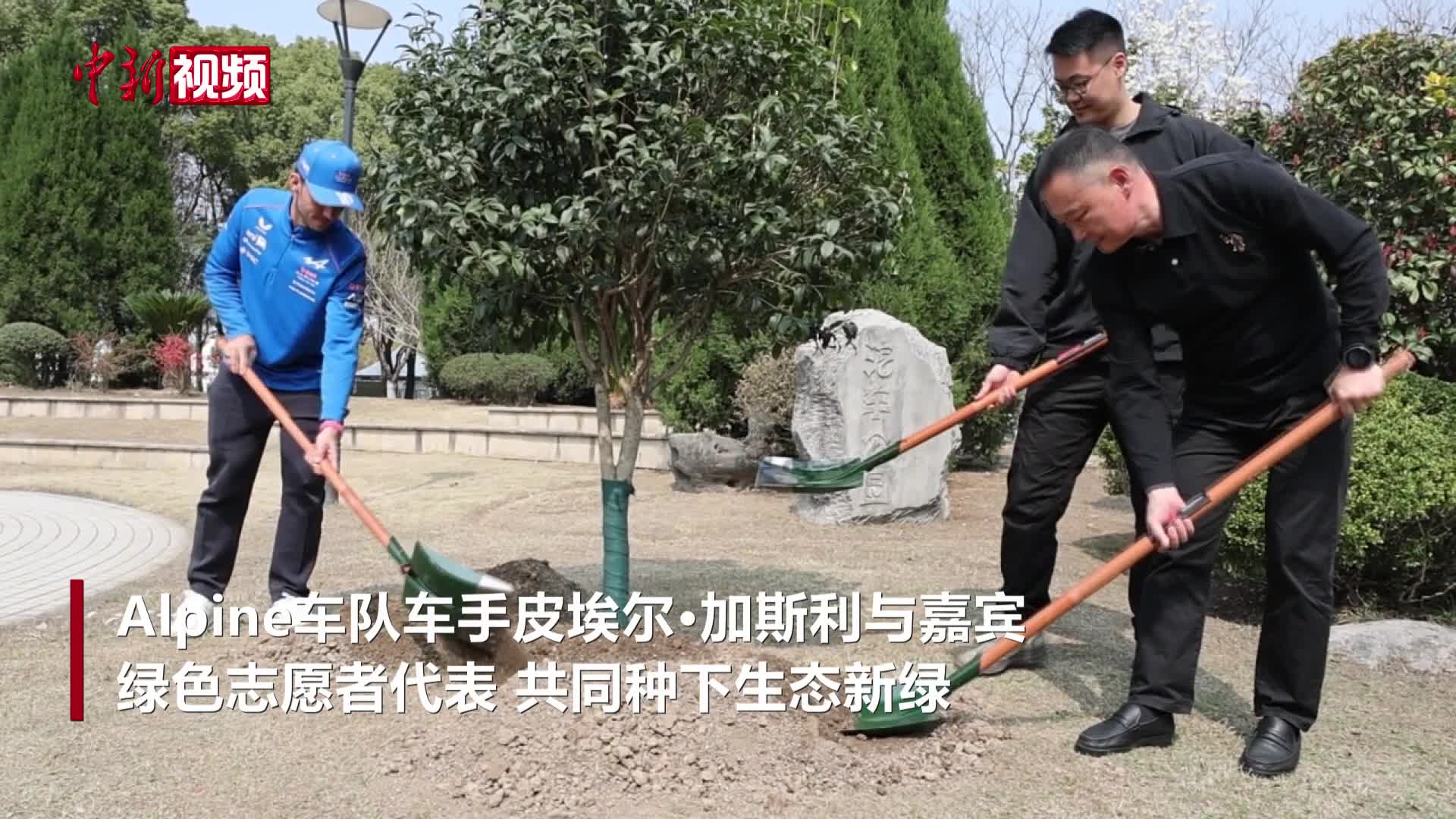 F1中国大奖赛前：车手种植纪念树、体验台球运动