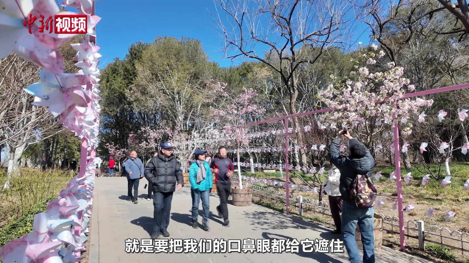 如何区分感冒和花粉症？专家科普