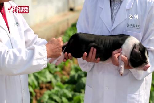 “舌尖上”的科学课：院士进校园解锁健康智慧