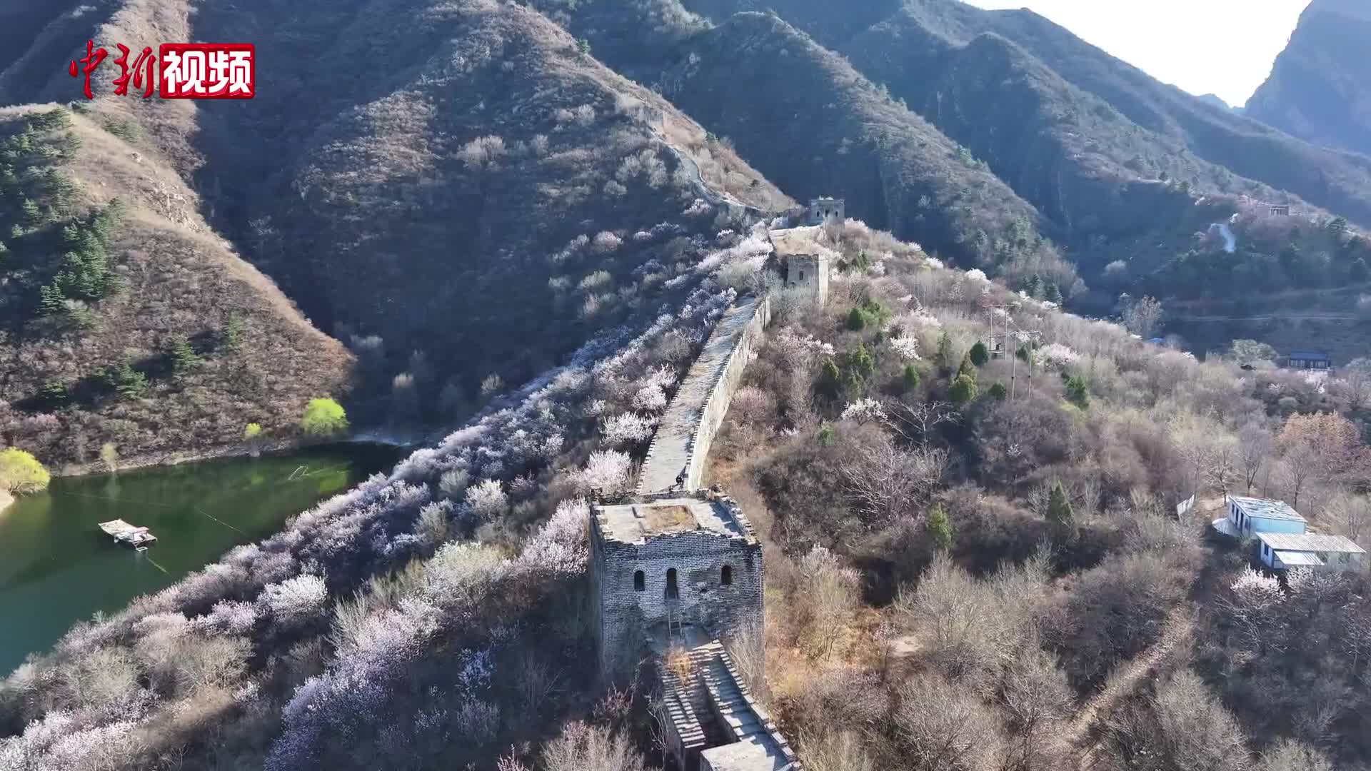 河北宽城：“水下长城”与杏花共赴春光