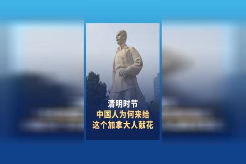 清明时节 白求恩墓前菊香满径 民众络绎追思