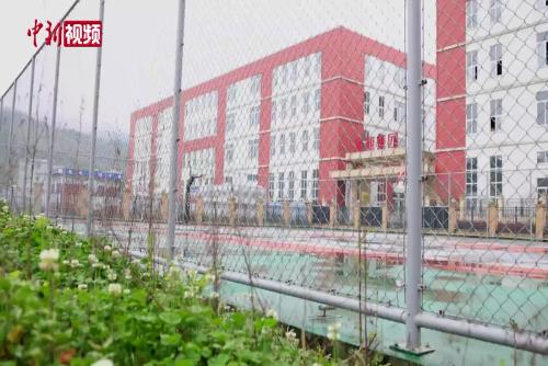 湖北咸丰：毛冠鹿误闯篮球场 多方联手救助重返自然