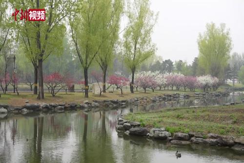 圆明园第三十一届踏青节开幕