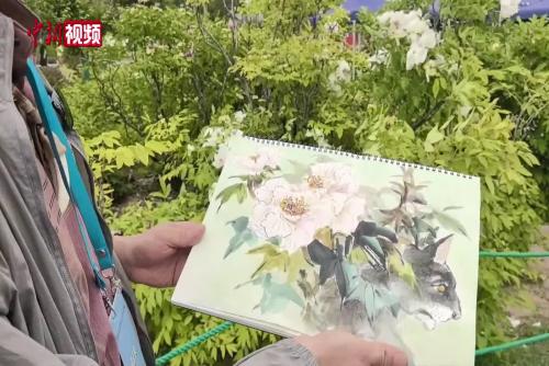 牡丹为媒翰墨牵情：两岸书画家共聚洛阳采风交流