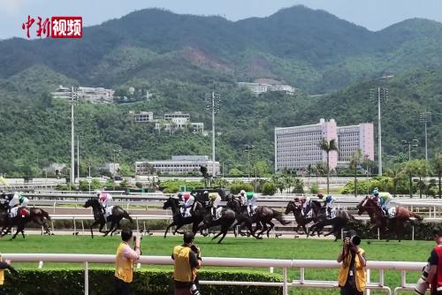 香港舉行冠軍賽馬日 海內(nèi)外游客盛贊馬場體驗