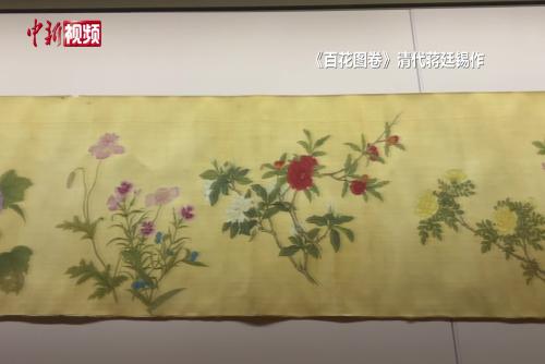 吉林：牡丹丹青匯聚 展現(xiàn)明代以來筆墨流變