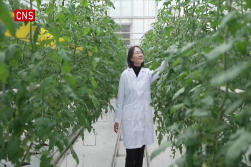 Tracking the unseen: How Chinese agricultural experts tackle invisible pollution in Yangtze River protection