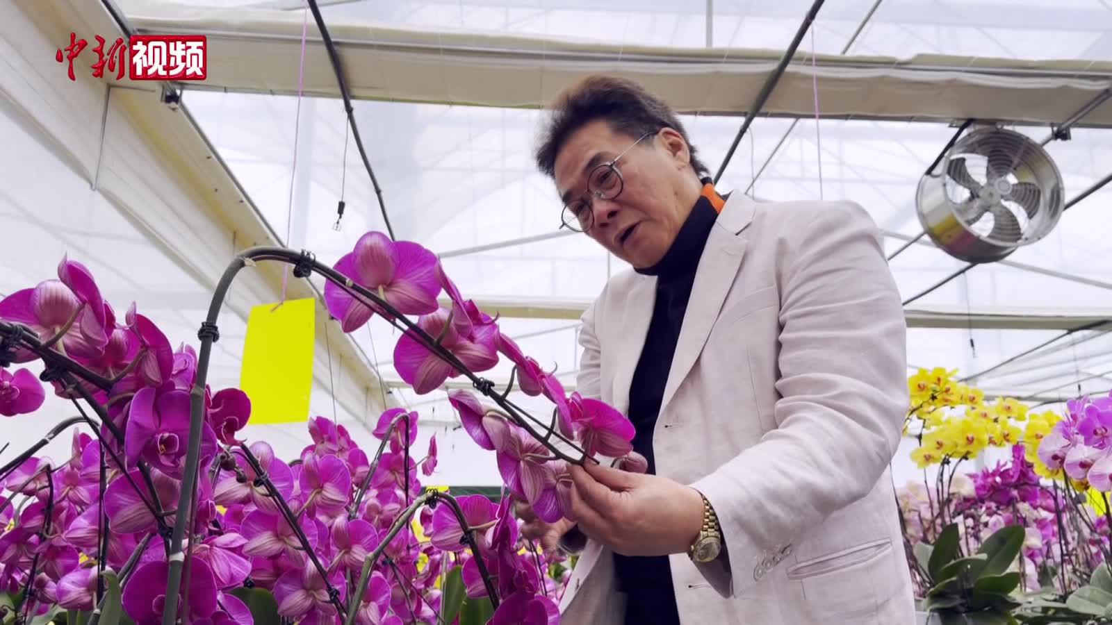 台商刘咏宸的“花样人生”