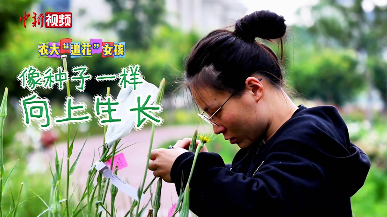 农大“追花”女孩：像种子一样，向上生长
