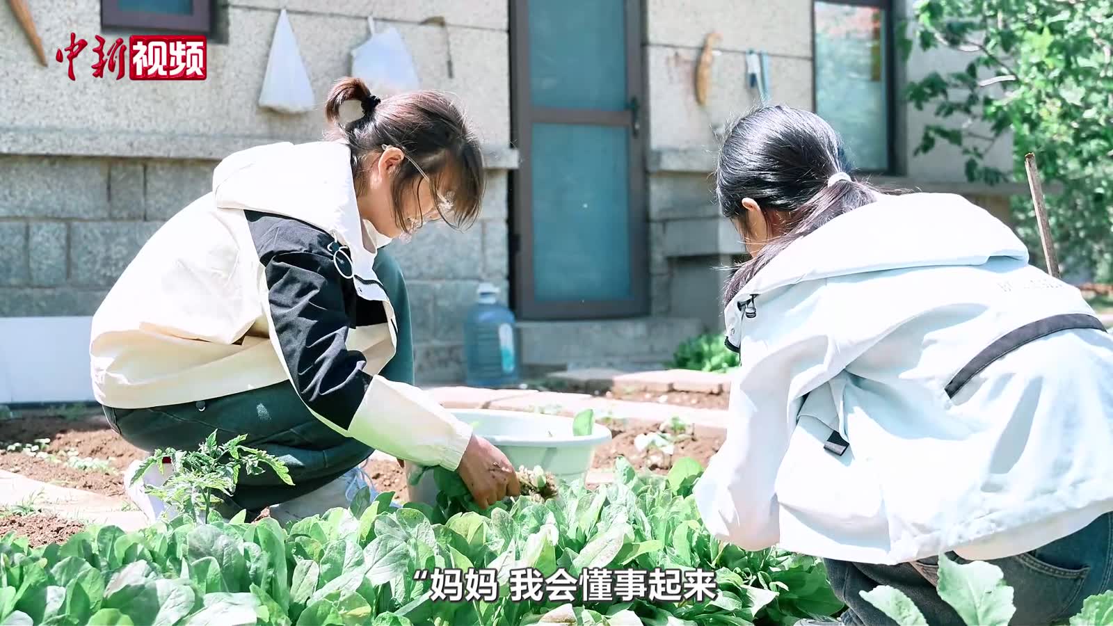 母親節(jié)將至 致敬中國(guó)煙臺(tái)SOS兒童村“專(zhuān)職媽媽”