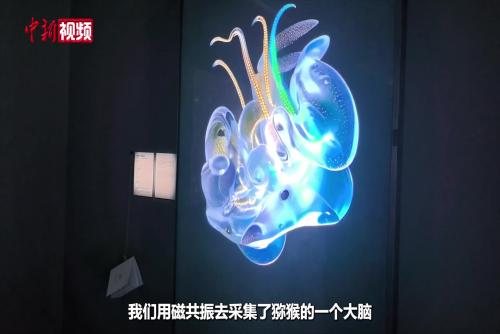 科学家与艺术家携手让“类脑智能”变得可观可感