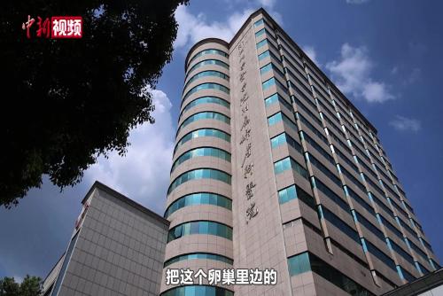 杭州临平查处非法试管婴儿手术窝点 医生警示取卵风险