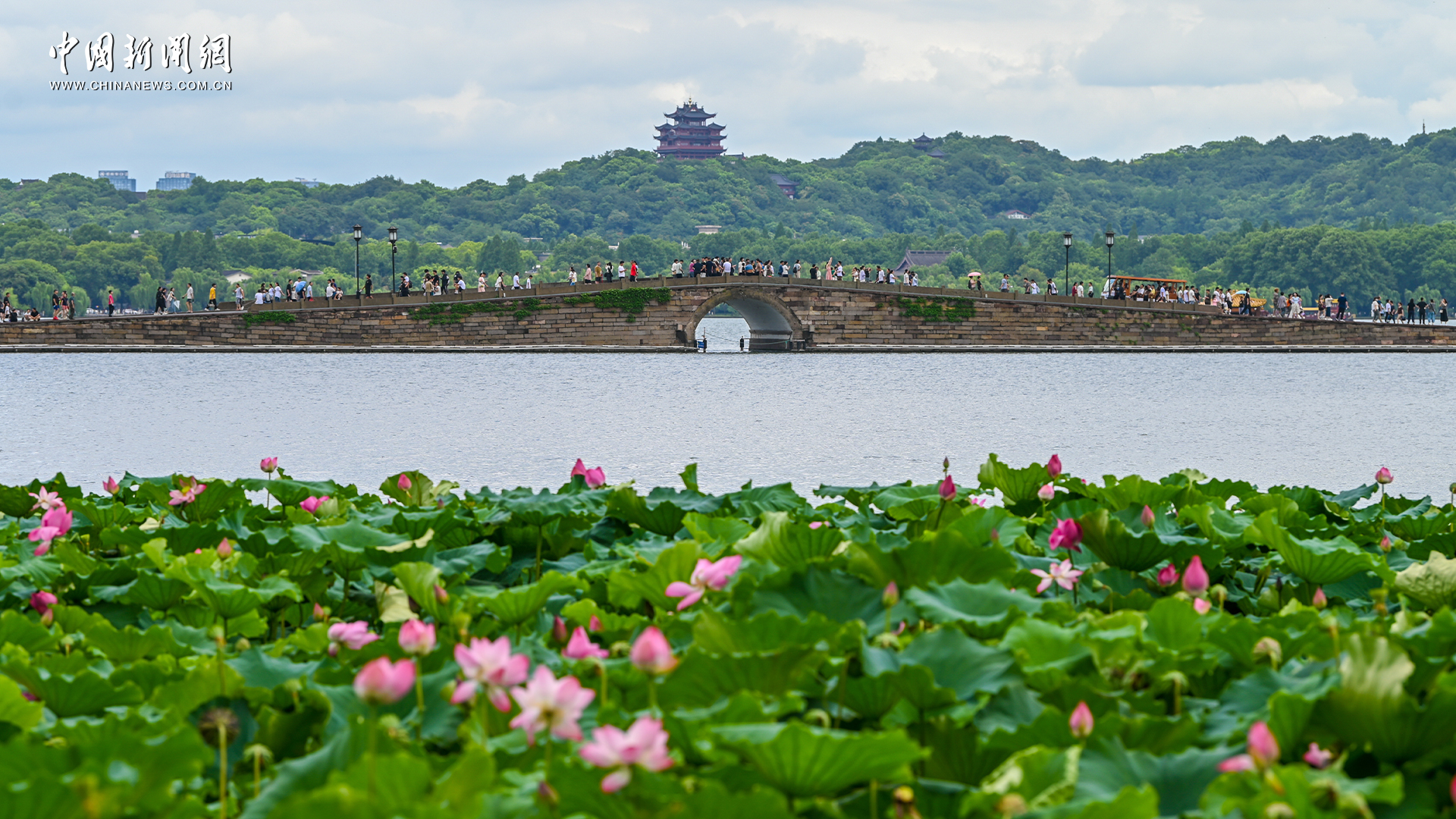 杭州：四季繁花轮番登场 各有专属“花样浪漫”