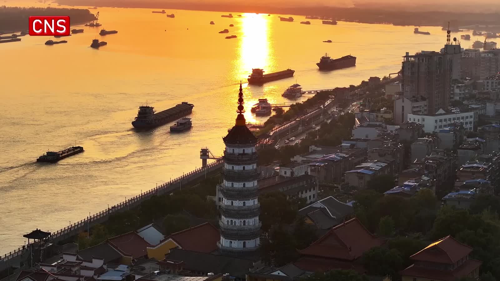 Every thing leaves a trace: eDNA technology empowers environmental protection in China
