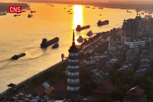 Every thing leaves a trace: eDNA technology empowers environmental protection in China
