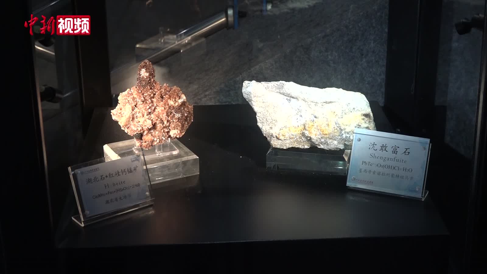 探秘江西高校“宝藏”博物馆