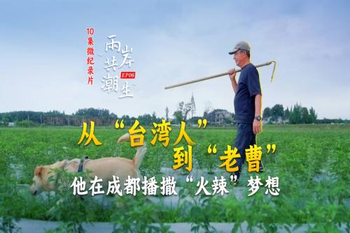 两岸共潮生丨从“台湾人”到“老曹” 他在成都播撒“火辣”梦想