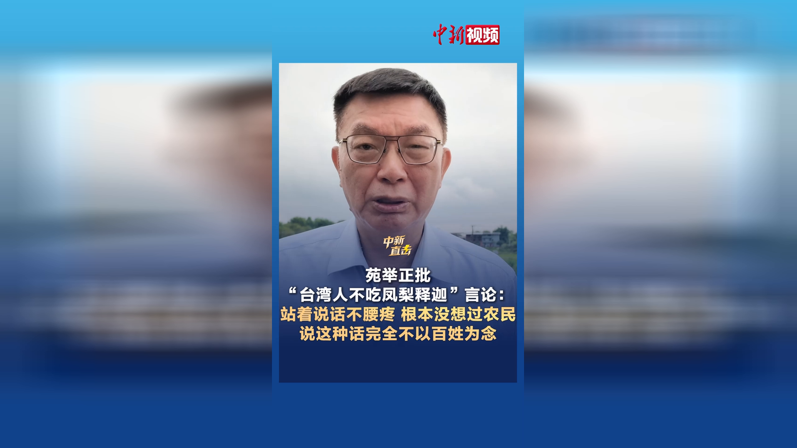苑举正批“台湾人不吃凤梨释迦”言论