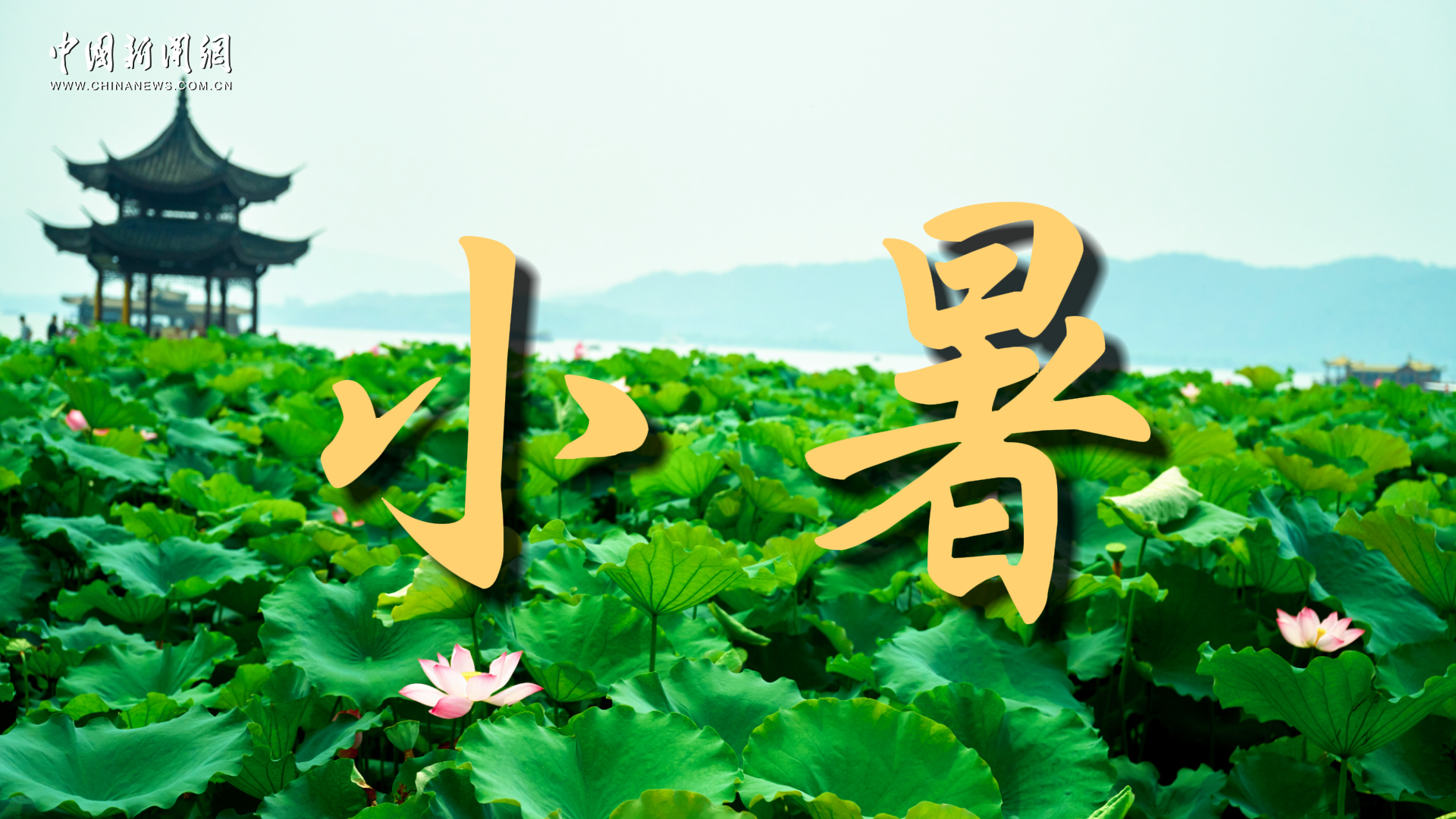 小暑：清风藏林间 觅半分闲适
