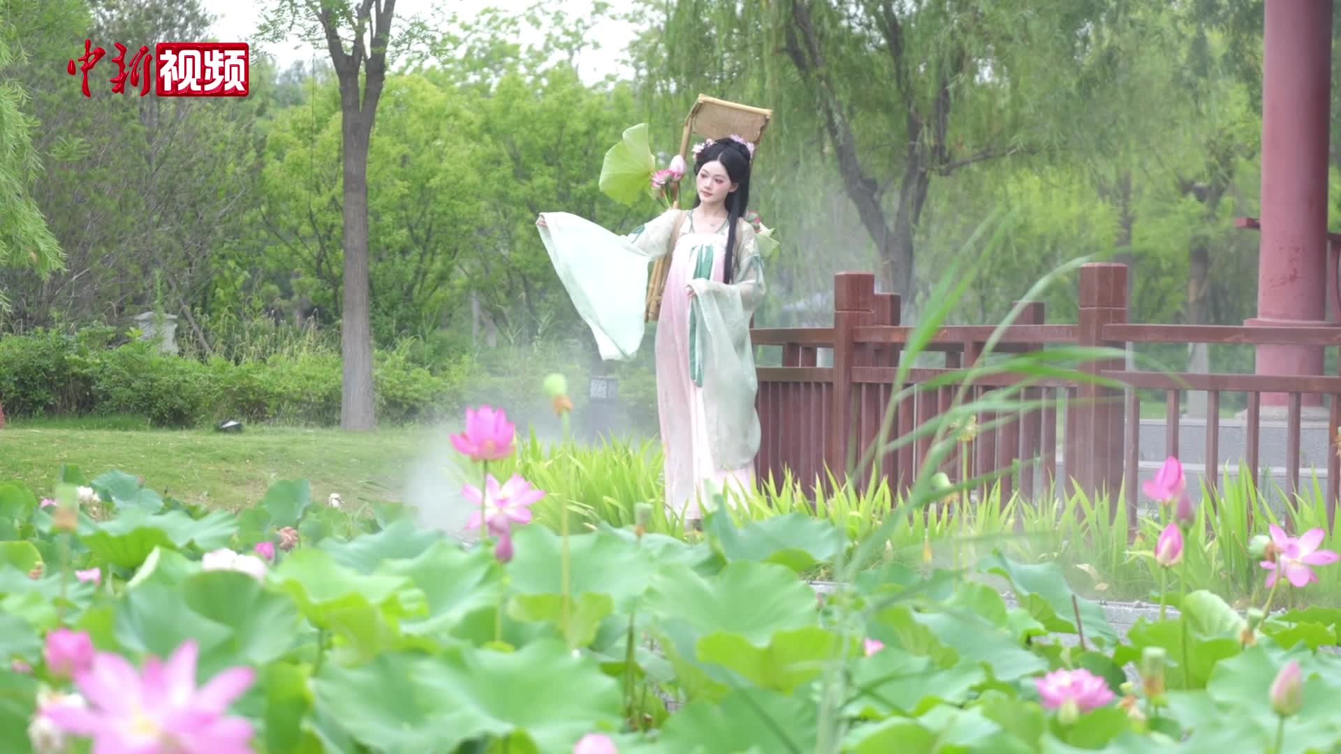 河南开封：小暑时节 铁塔荷香引客来