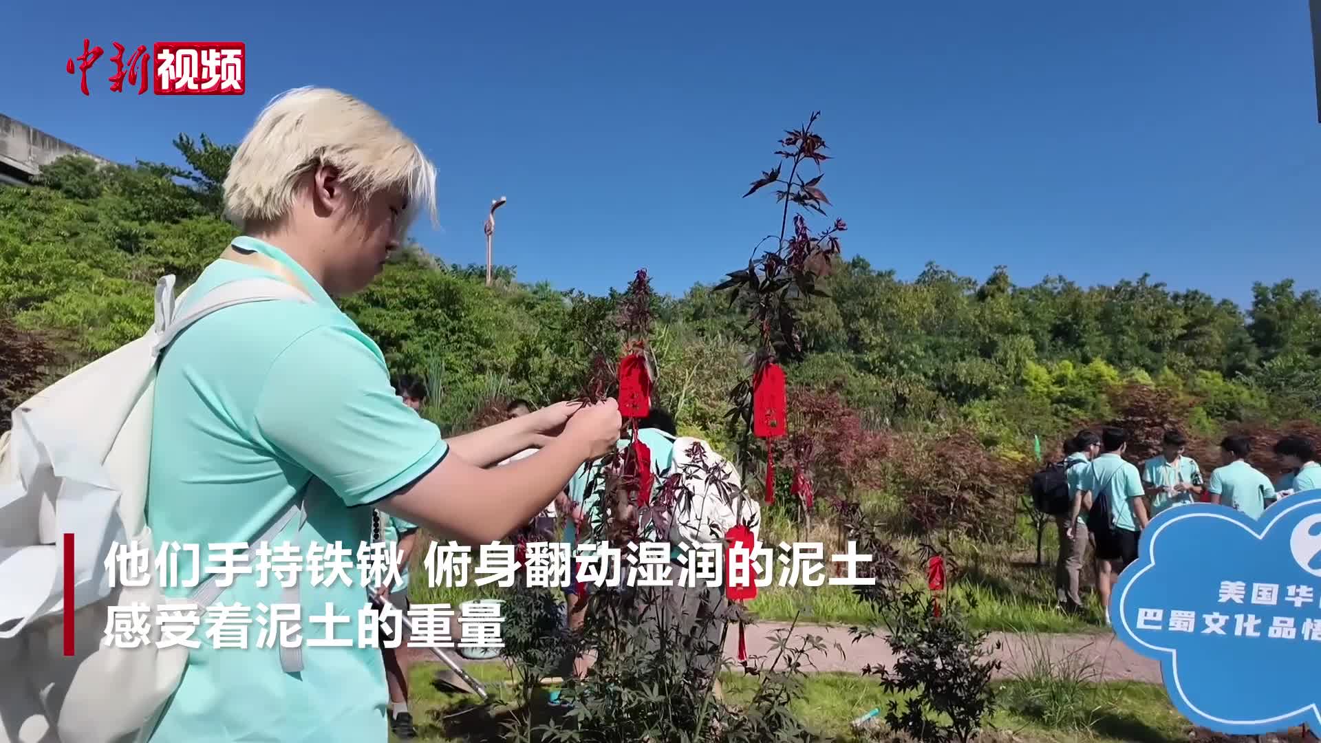 植绿“寻根林” 美国华裔青少年四川乐山寻文脉