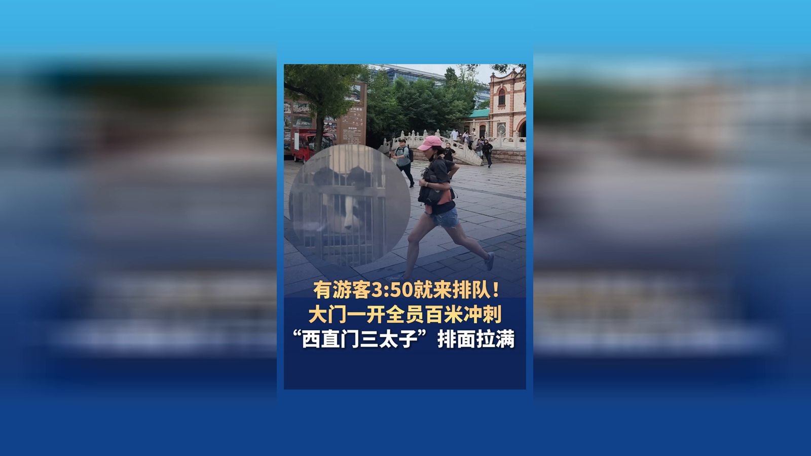 “萌兰”新家正式对外开放 大门一开全员百米冲刺