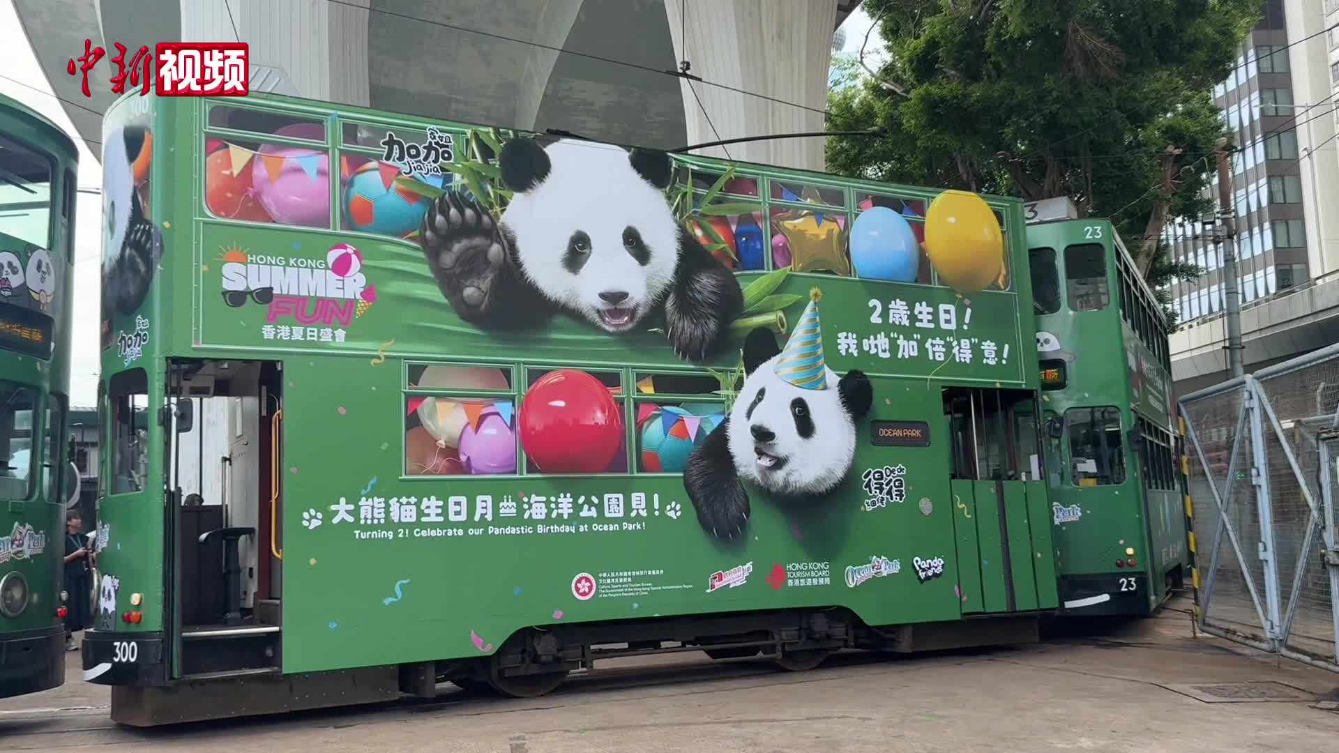 萌翻香港岛！香港限定熊猫“叮叮车”上街