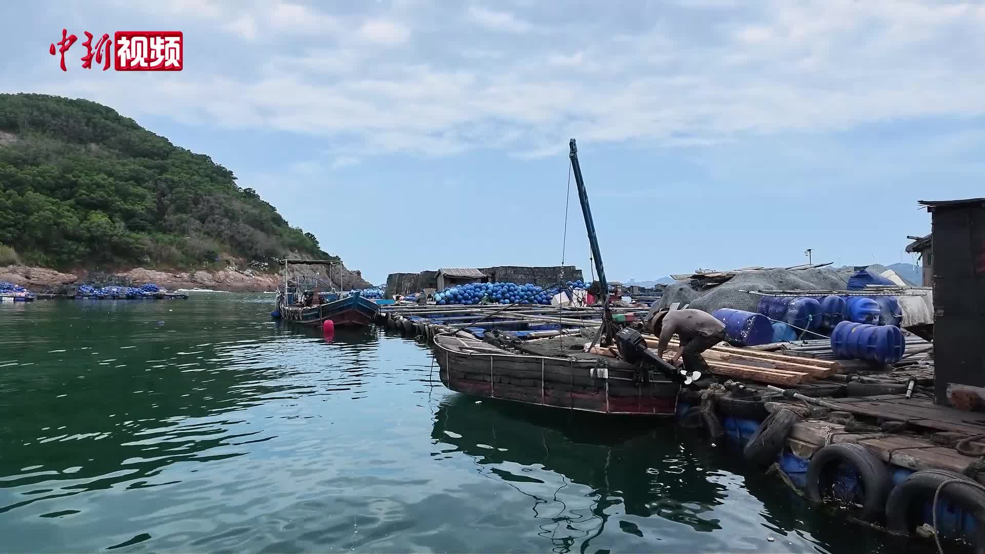 福建连江全力防御台风“白海豚” 万艘船舶回港避风