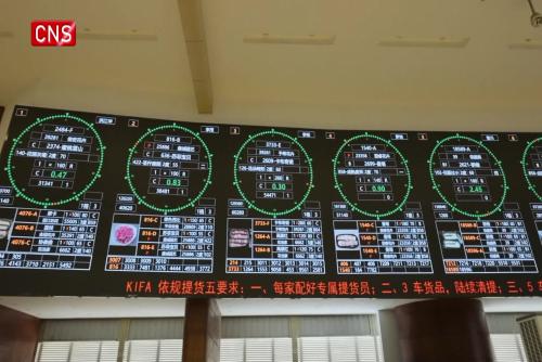 Asia's premier flower hub sets new benchmarks in trading scale and logistics efficiency