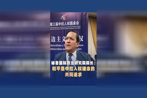 秘鲁国际政治研究院院长：和平是中拉人权理念的共同追求