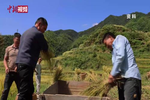 農(nóng)業(yè)文化遺產(chǎn)如何讓青年回流？中日韓專家湖南新化紫鵲界論道