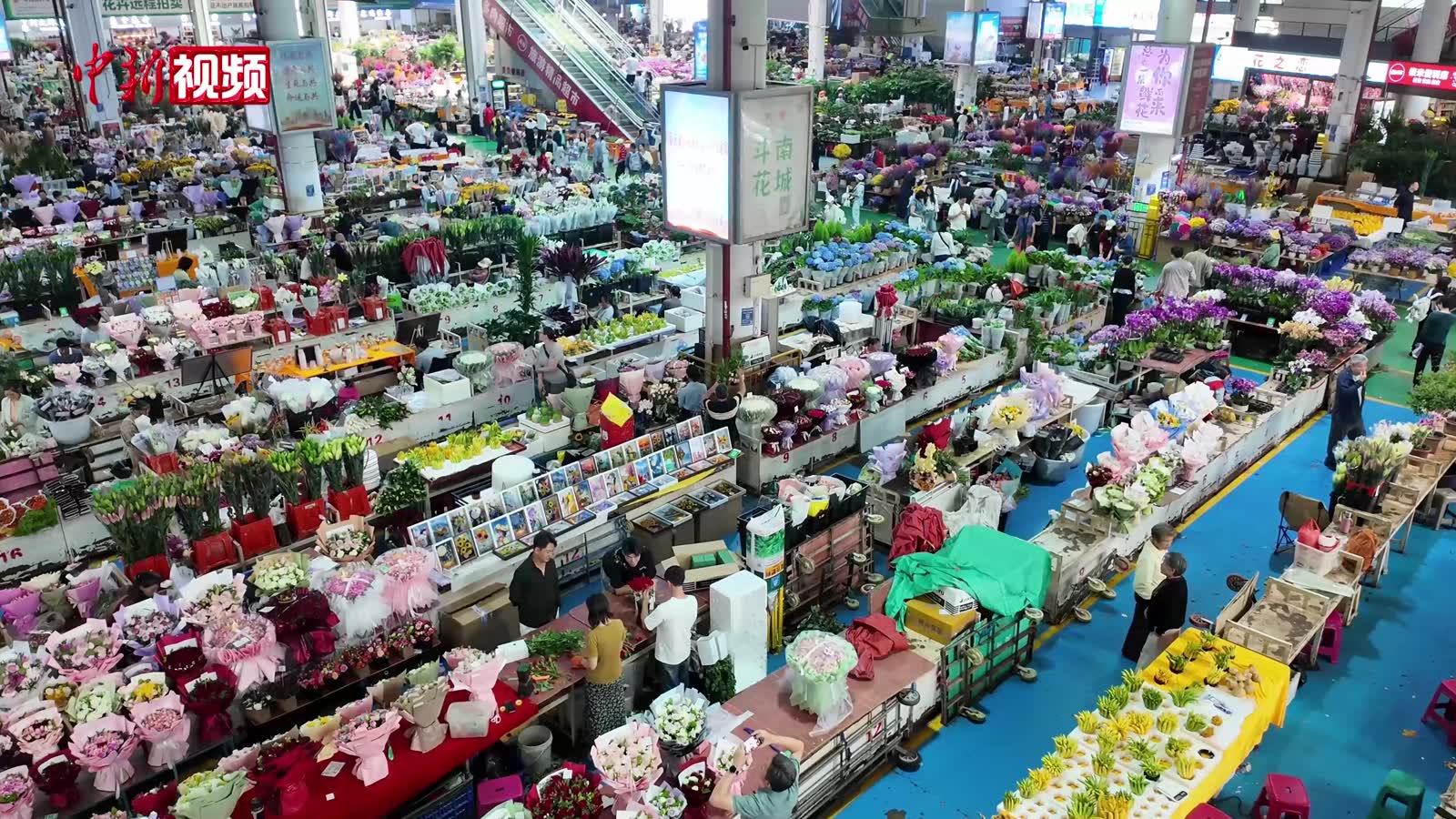 “亚洲花都”秋意正浓 金黄花材走俏中秋