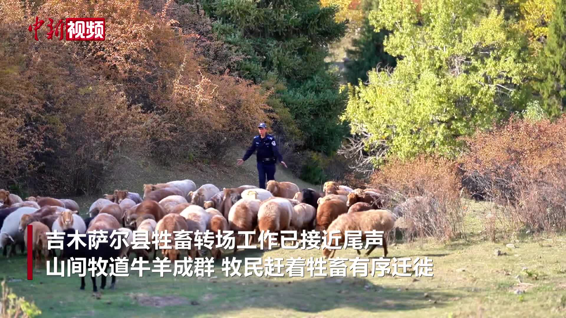 新疆吉木萨尔公安马背警务守牧道 护航牧民牲畜转场