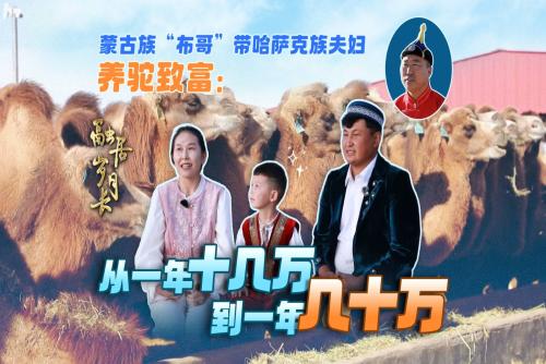 【融居岁月长】蒙古族“布哥”带哈萨克族夫妇养驼致富：从一年十几万到一年几十万